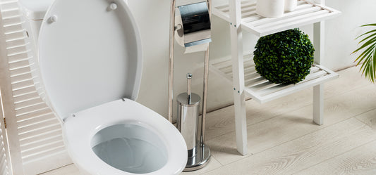 Elevate Your Bathroom A Comprehensive Toilet Accessories Buying Guide