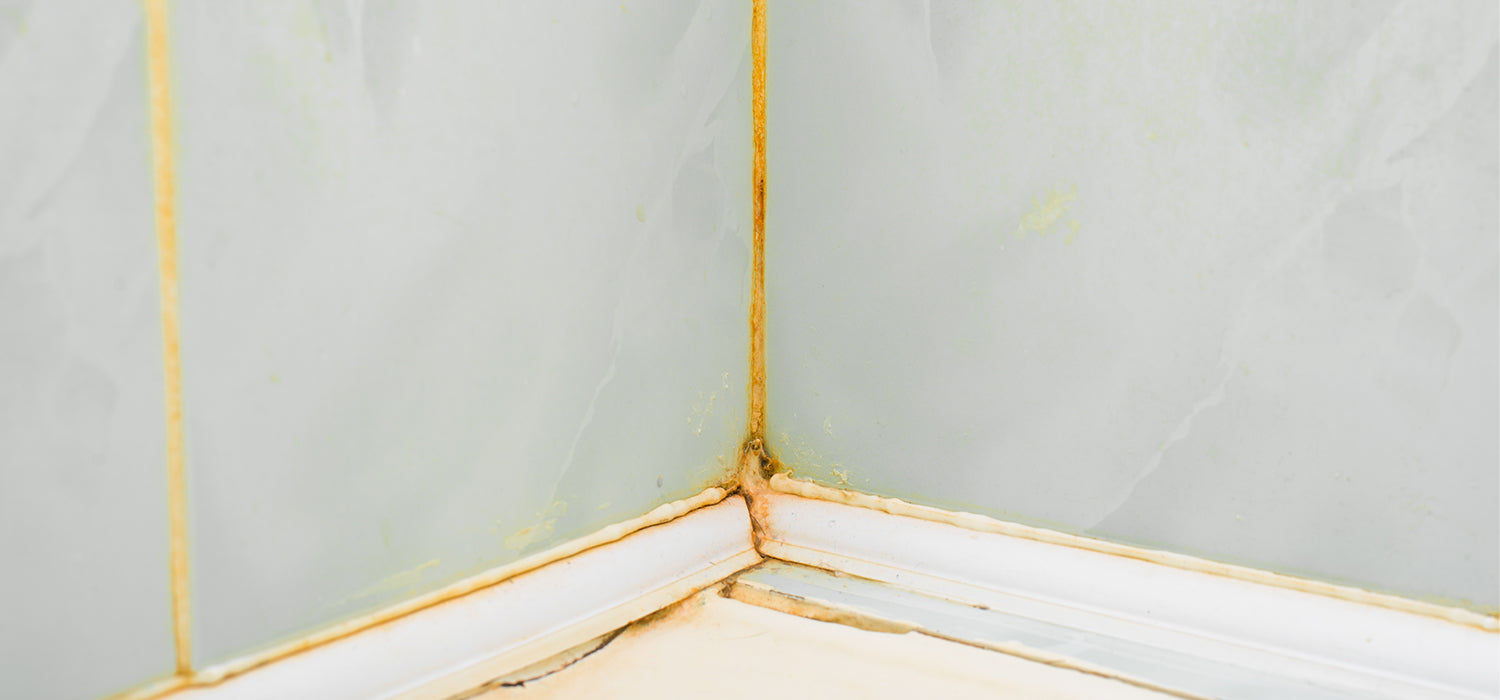 How to remove Bathroom Mould Effective Guide Tapron UK