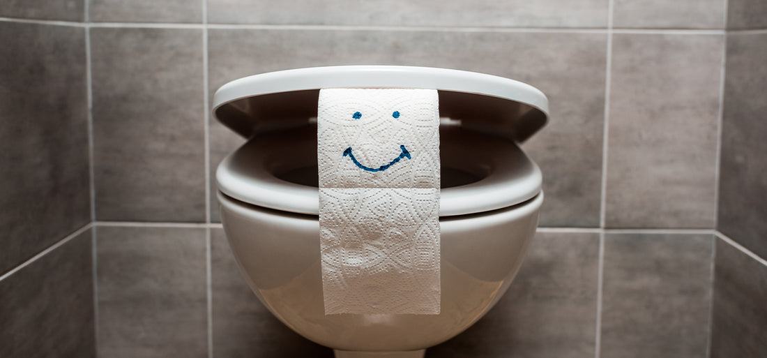 10 Steps to Choosing the Right Toilet for Your Bathroom