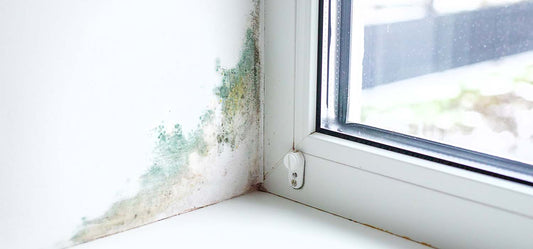 How to Treat Damp Walls Internally