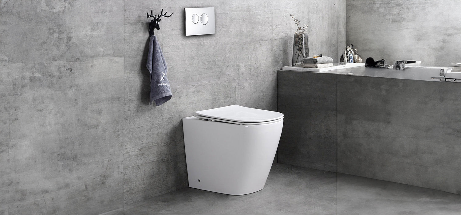 Back to wall toilet