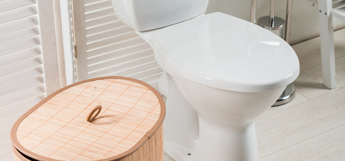 One-Piece vs. Two-Piece Toilets What’s the Difference and Which Should You Choose