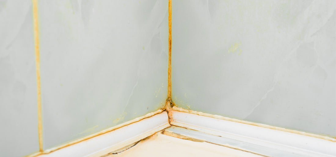 How to Remove Bathroom Mould : Quick and Easy
