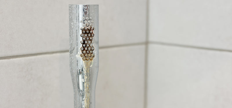 Leave your shower head limescale-free and 'sparkling clean' with £1  cupboard essential