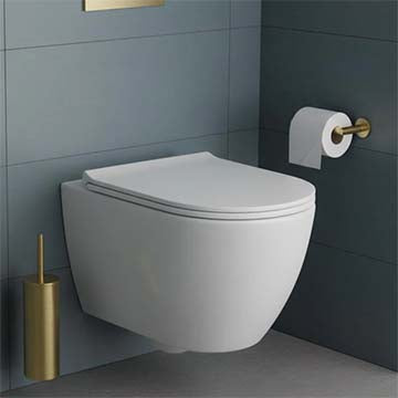 Rimless Toilets