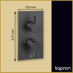 Matt Black Thermostatic Concealed 2 Outlet Shower Valve-Tapron