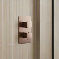 2 dials 2 outlet shower valve bronze