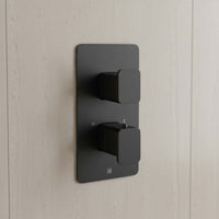 2 outlet shower mixer valve matt black 