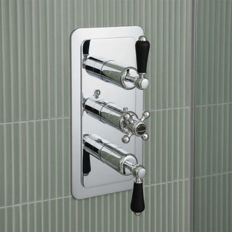 2 outlet shower mixing valve Main image