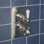 2 outlet thermostatic shower valve - nickel 