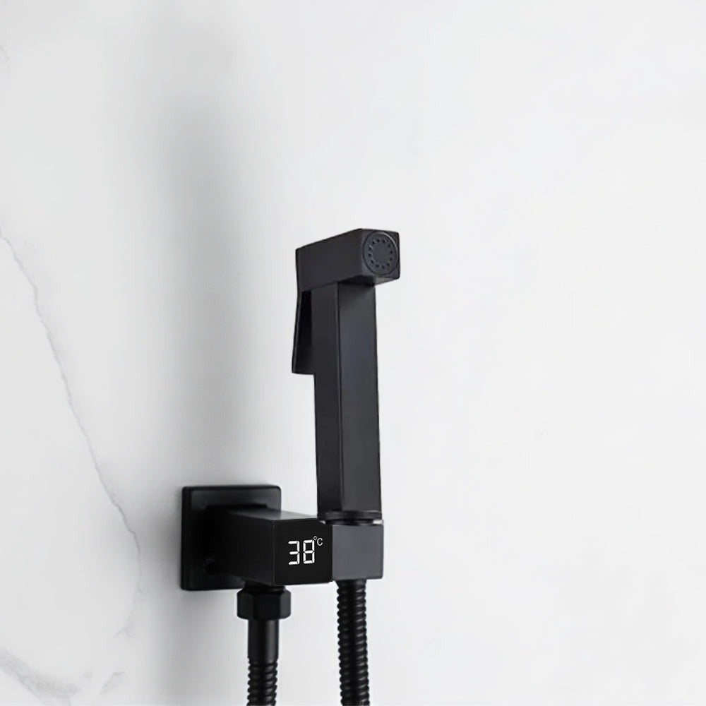 Black Douche Kit with Hose, Handle and Temperature Display
