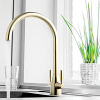 Gold Kitchen Taps