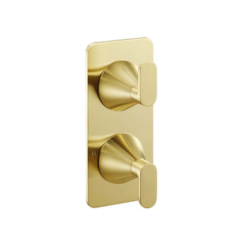 Brushed Brass Concealed Thermostatic 2 Outlet Shower Valve Main image