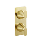 Brushed Brass Concealed Thermostatic 2 Outlet Shower Valve