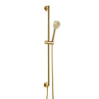 Brushed Brass Slide Rail with Round Shower Handset and Hose