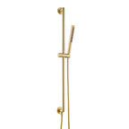 Brushed Brass Slide Rail with Single Function Shower Handset and Hose