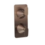 Brushed Bronze Dual Outlet Concealed Shower Valve