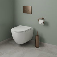 Brushed Bronze Flush Plate 