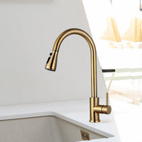 Brushed Gold Kitchen Tap with Pull Out Spray
