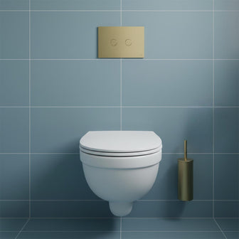 Brushed Brass Toilet Flush Plate Main image