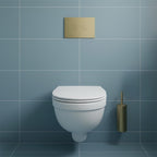 Brushed Brass Toilet Flush Plate
