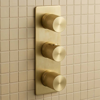 Brushed brass concealed two outlet shower valve  Main image