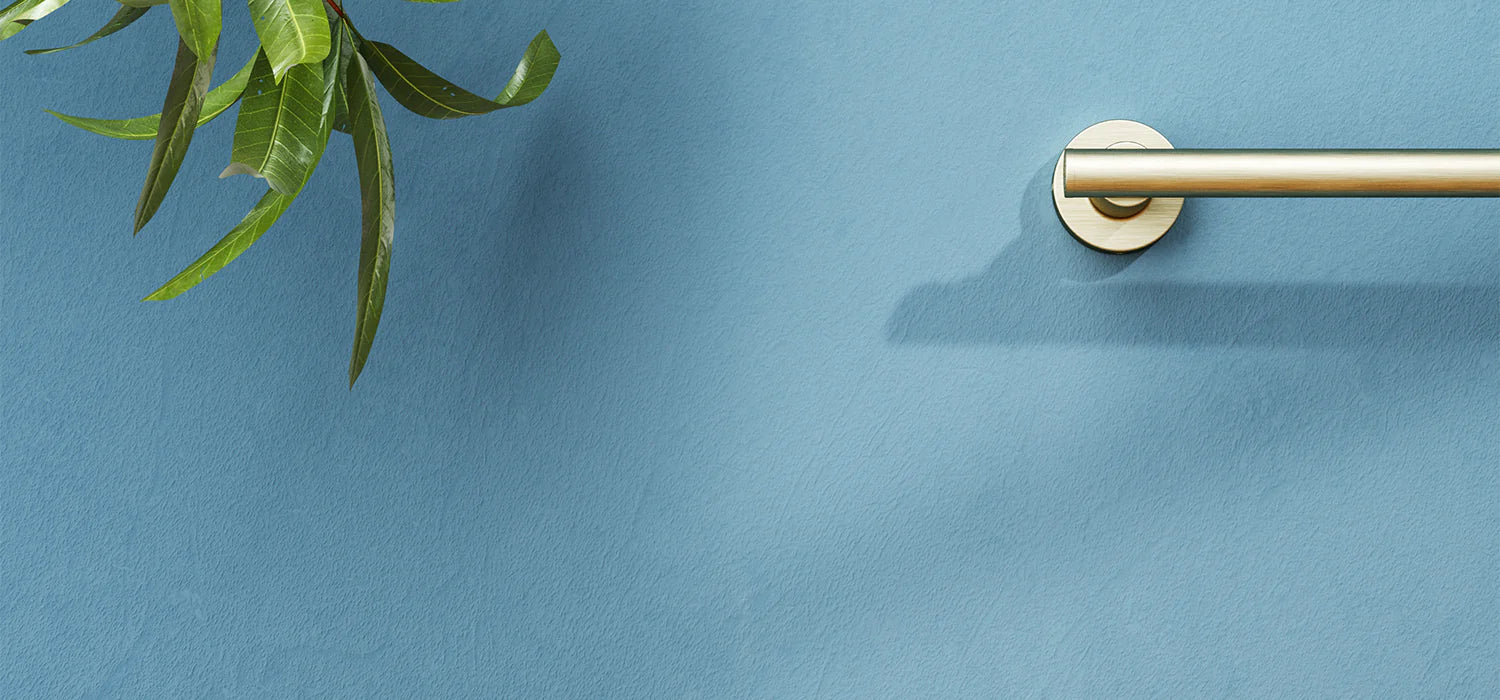 Colored Grab Rails: Enhancing Safety with Style