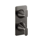Concealed 2 Outlet Shower Valve with 2 Handles - Brushed Black