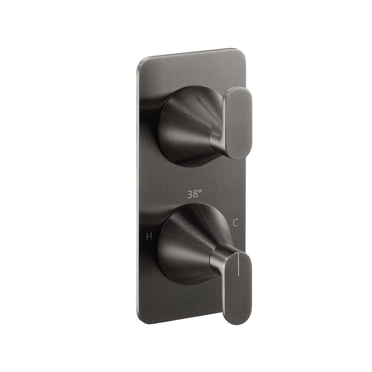Concealed 2 Outlet Shower Valve with 2 Handles - Brushed Black