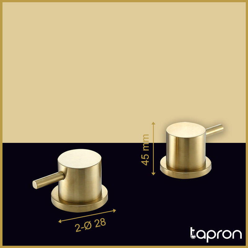 Brushed brass Gold Deck Panel Valves Pair-Tapron