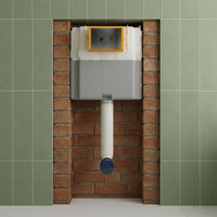 Dual Flush Concealed Cistern with Brushed Black Flush Plate