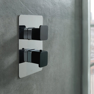 Elegant Black Handled 2 Outlet Modern Shower Valve
