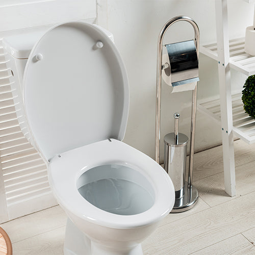 Elevate Your Bathroom: A Comprehensive Toilet Accessories Buying Guide
