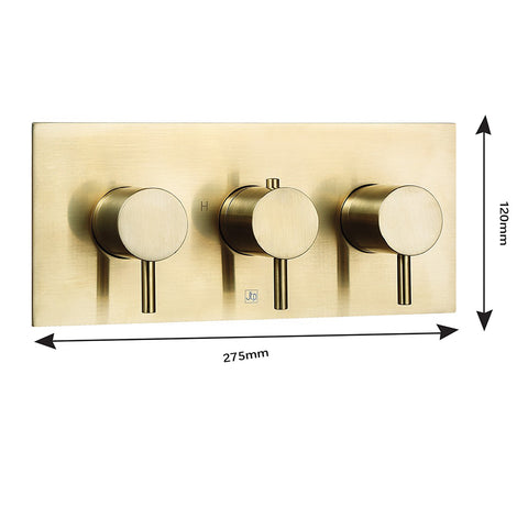 2 outlet thermostatic shower valve