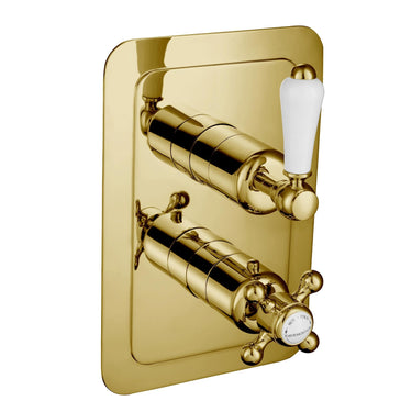 Gold 2-Outlet Shower Valve - Antique Brass
