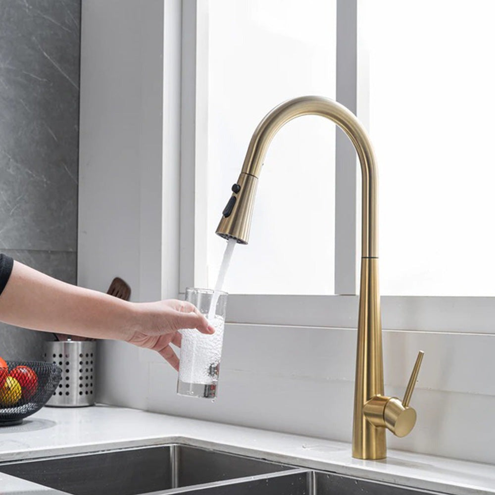 Gold Pull Out Spray Kitchen Mixer Tap
