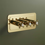 Horizontal 2-Outlet Concealed Thermostatic Shower Mixer Valve - Gold