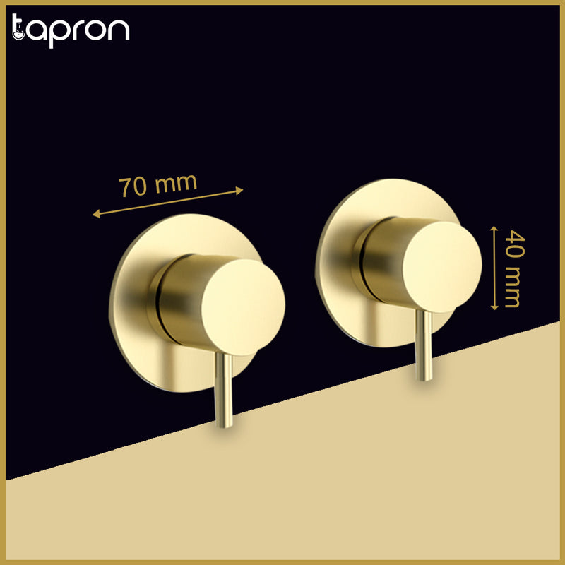Brushed Brass Wall Mounted Valves -Tapron