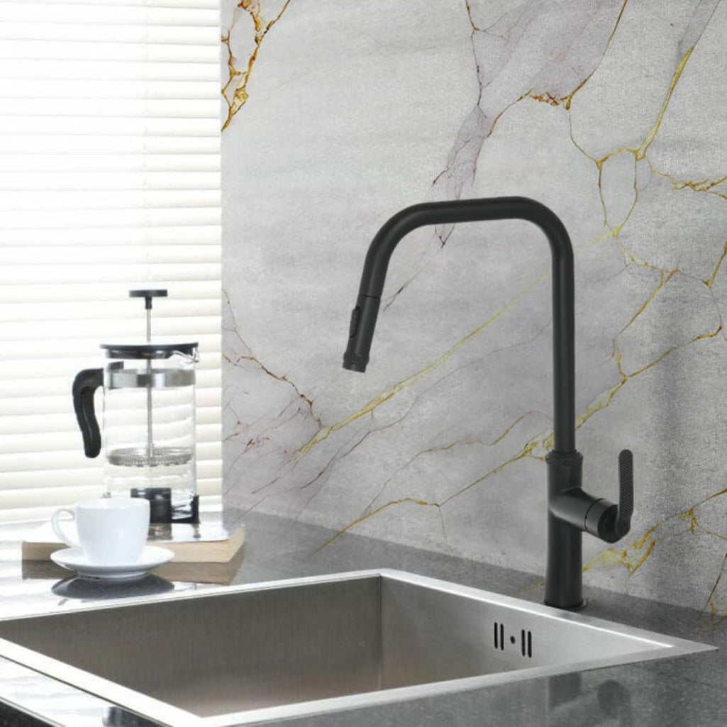 matt black kitchen tap with hose