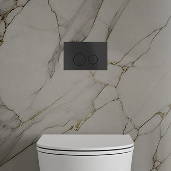 Matt Black Toilet Flush Plate with Round Buttons Main image