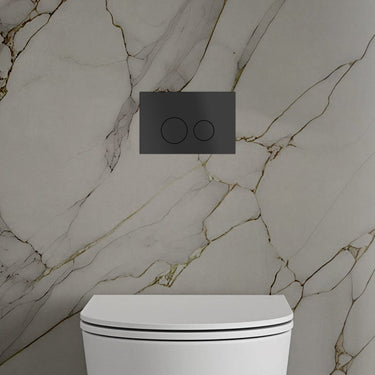 Matt Black Toilet Flush Plate with Round Buttons