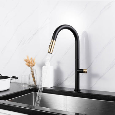 Modern Matt Black Kitchen Tap With Pull Out Spray
