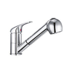 Pull Out Spray Kitchen Taps