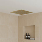 Shower Head Ceiling Mounted, 400mm  - Brushed Brass