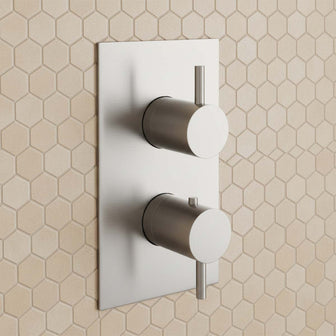 Single Outlet Thermostatic Shower Mixer Valve - Stainless Steel Main image