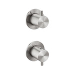 Stainless Steel 2 Outlet Concealed Thermostatic Shower Valve