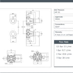 Stainless Steel 2 Outlet Concealed Thermostatic Shower Valve technical details