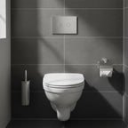 Stainless Steel Concealed Cistern Flush Plate