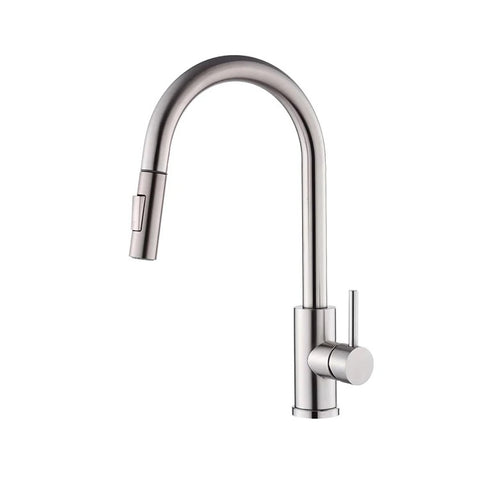 Tapron Kitchen Tap with Pull Out Spray - Brushed Stainless Steel