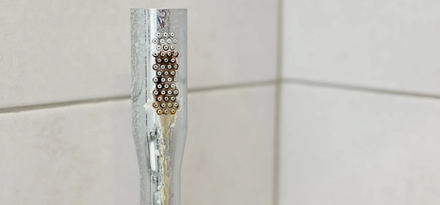 How to Clean a Shower Head (Very Quick and Easy Process)